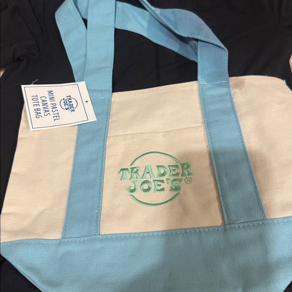 Trader Joe's Canvas mini Tote Bag - blue